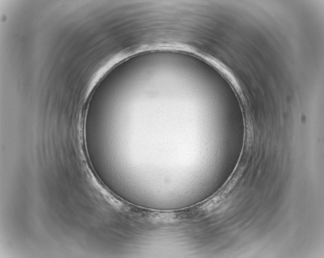 X0000087571006200705112208