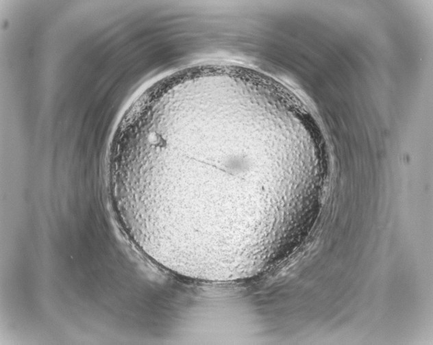 X0000087571008200705112208