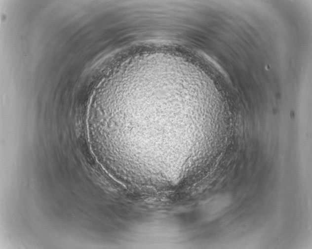 X0000087571015200705112207