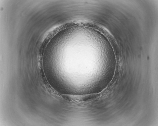 X0000087571016200705112207