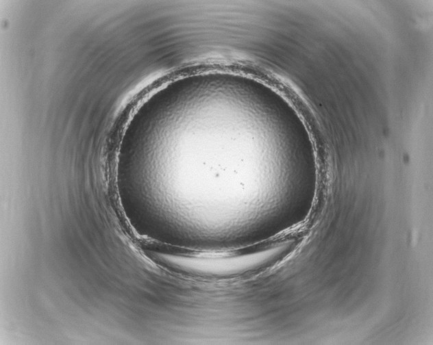 X0000087571018200705112207
