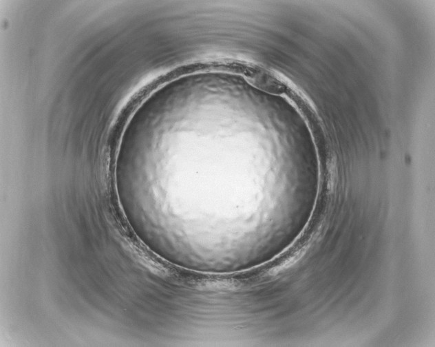 X0000087571021200705112207