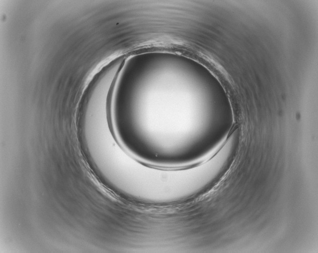 X0000087571026200705112207