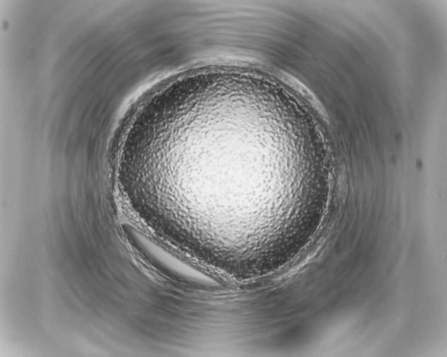 X0000087571027200705112207