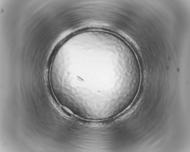 X0000087571029200705112207