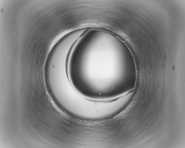 X0000087571030200705112207