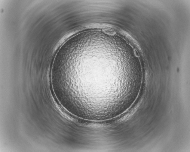 X0000087571033200705112207