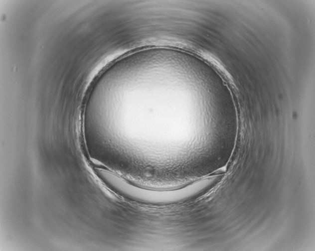 X0000087571040200705112207