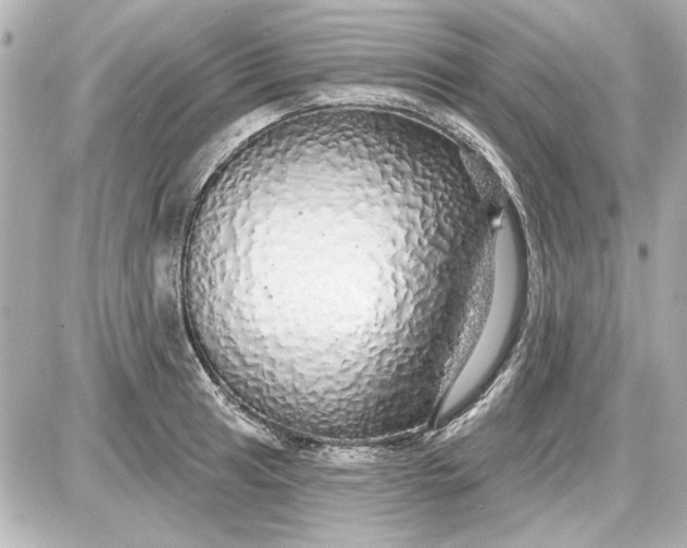 X0000087571041200705112207