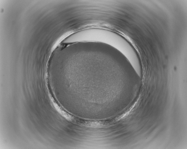 X0000087571042200705112207