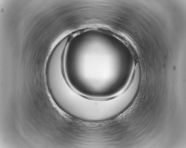 X0000087571046200705112207