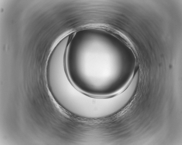 X0000087571050200705112208