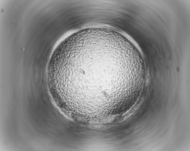X0000087571053200705112208