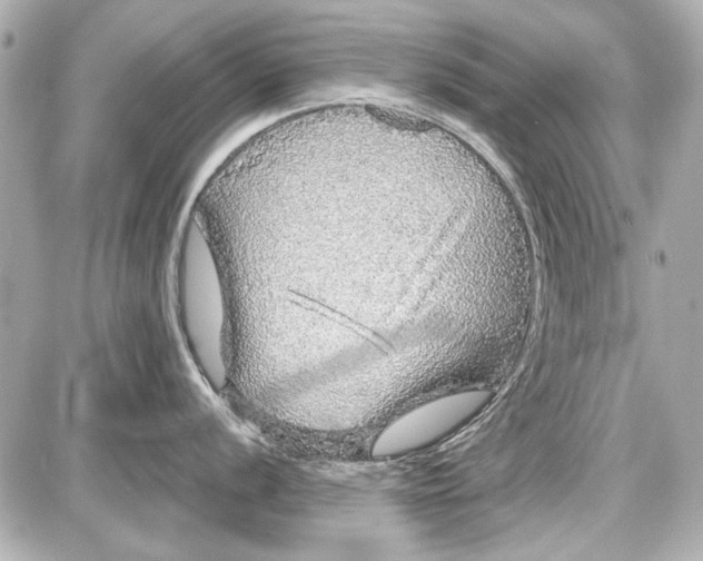 X0000087571056200705112208
