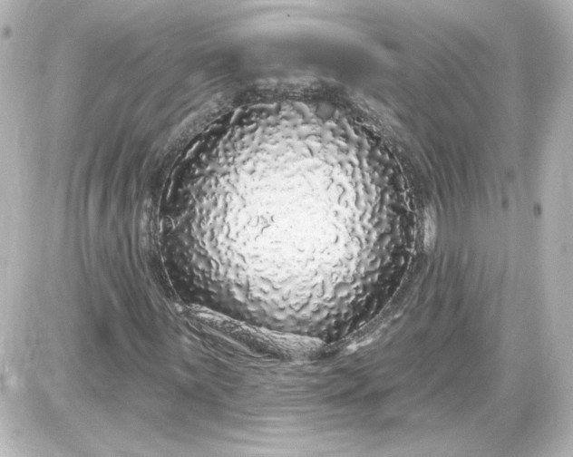 X0000087571059200705112207