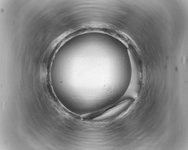 X0000087571065200705112207