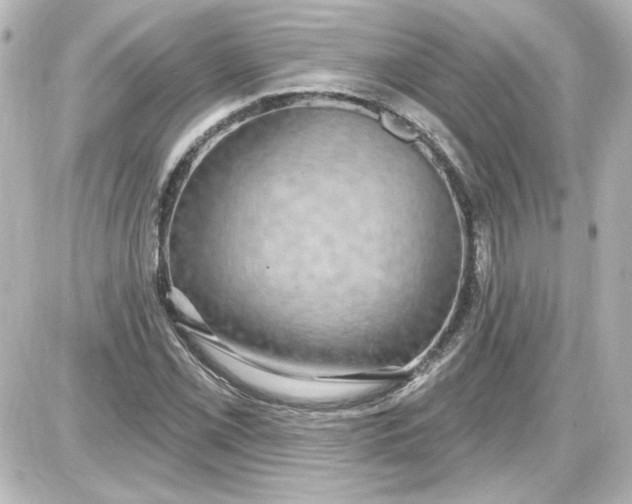 X0000087571069200705112207