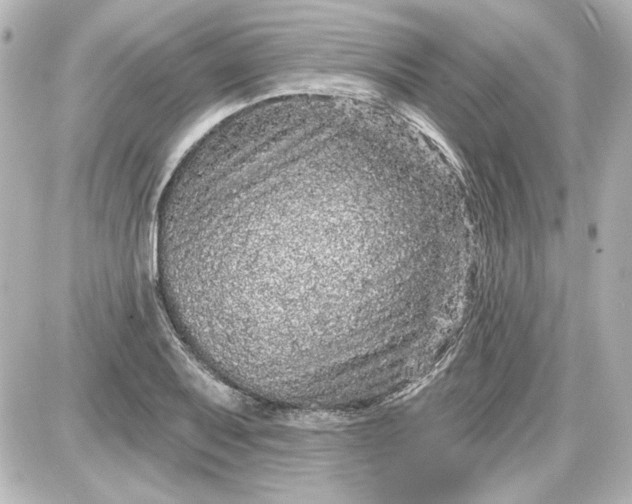 X0000087571079200705112206
