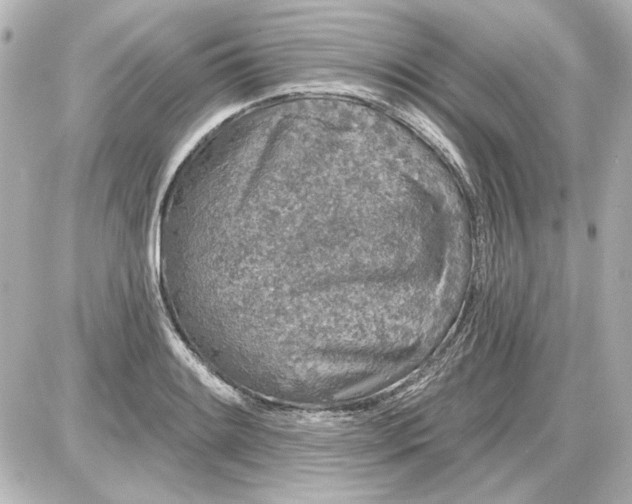 X0000087571084200705112206