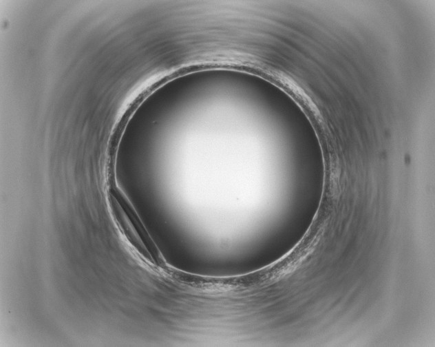 X0000087571085200705112206