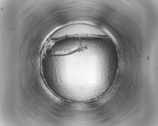 X0000087571092200705112206