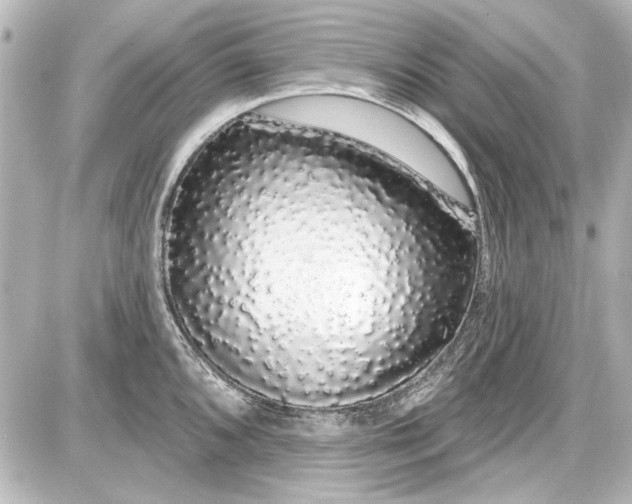 X0000087571096200705112206