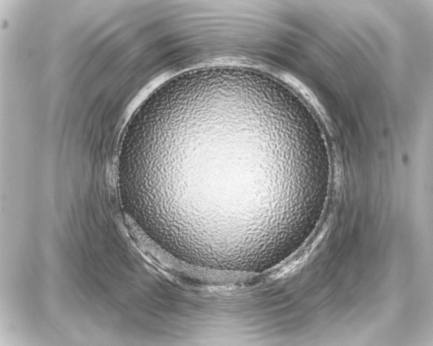 X0000087571097200705112206