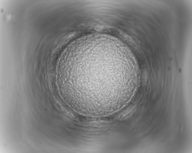 X0000087571105200705112205