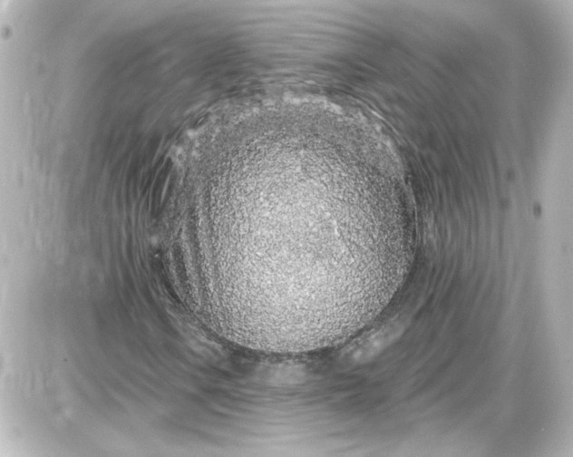 X0000087571106200705112205