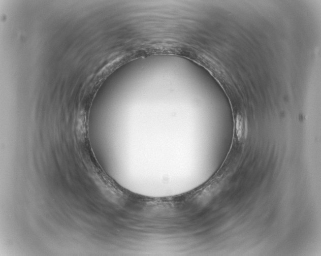 X0000087571107200705112205