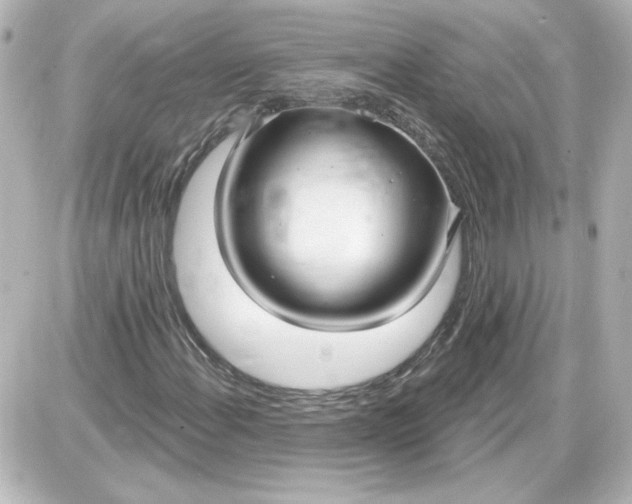 X0000087571108200705112205