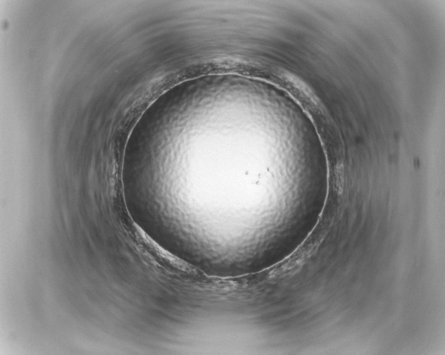 X0000087571111200705112205