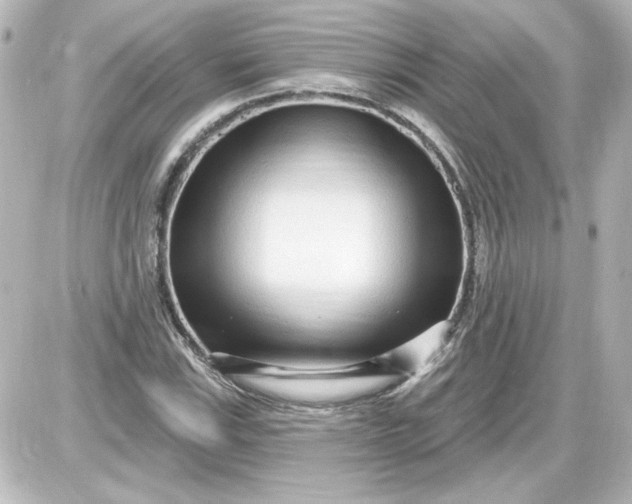 X0000087571115200705112205