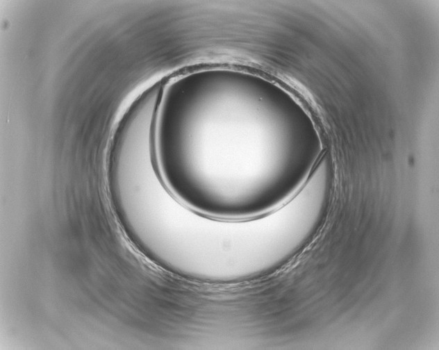 X0000087571120200705112206