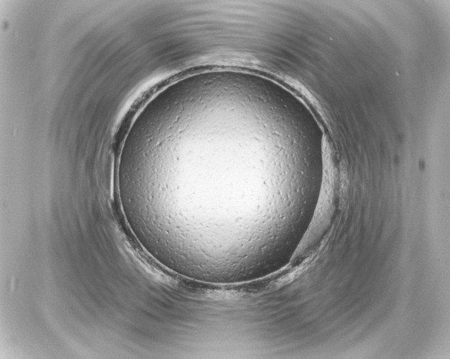X0000087571123200705112206