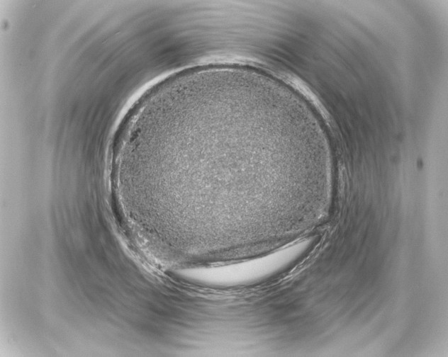 X0000087571124200705112206