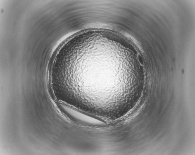 X0000087571125200705112206