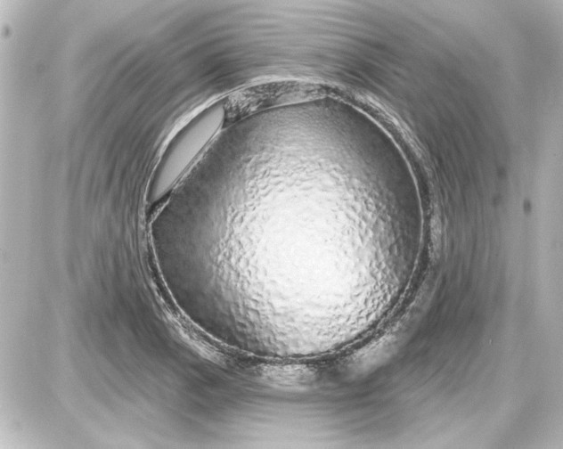 X0000087571129200705112206