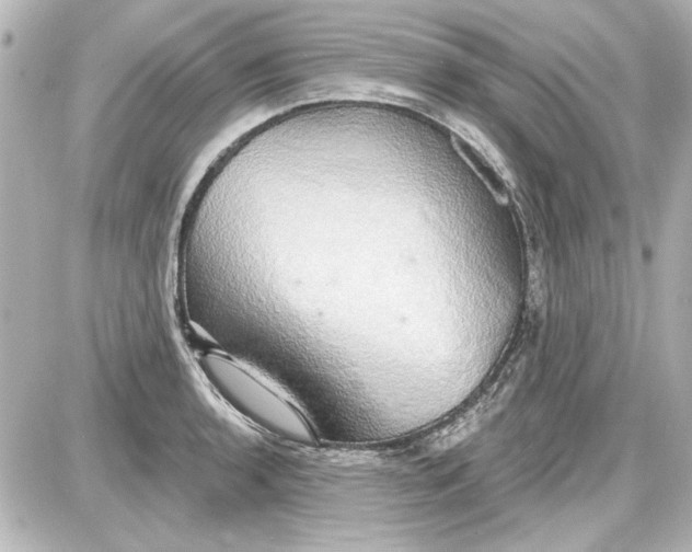 X0000087571136200705112206