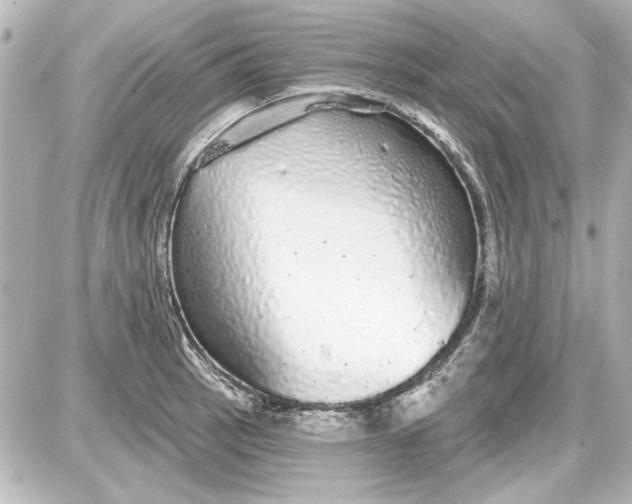 X0000087571137200705112206