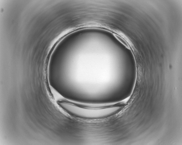 X0000087571142200705112206