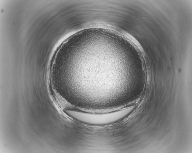 X0000087571144200705112206
