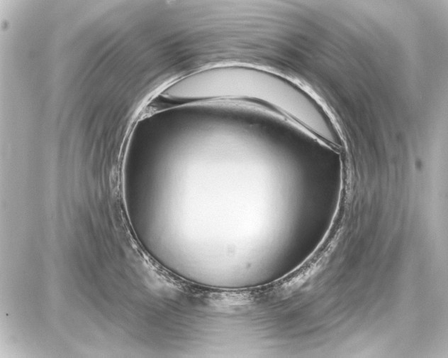 X0000087571145200705112206