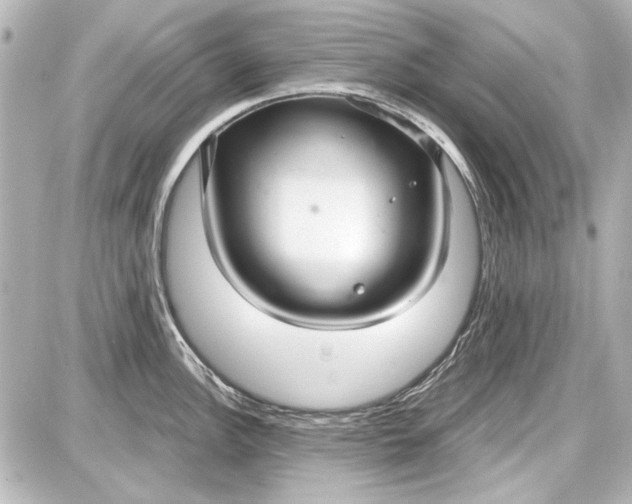 X0000087571148200705112206