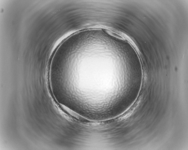X0000087571149200705112206