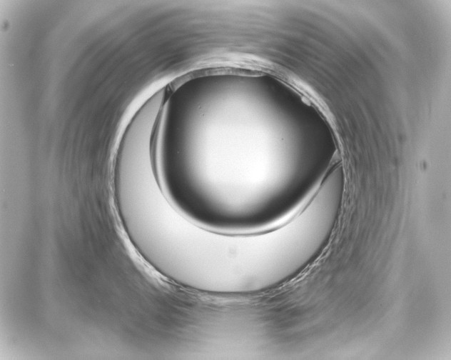 X0000087571152200705112206