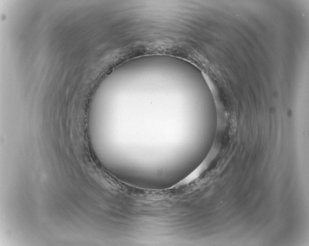 X0000087571153200705112205