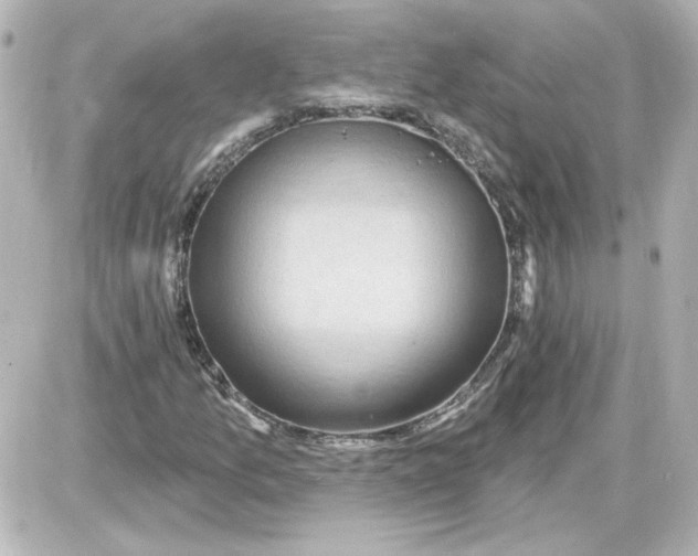 X0000087571157200705112205