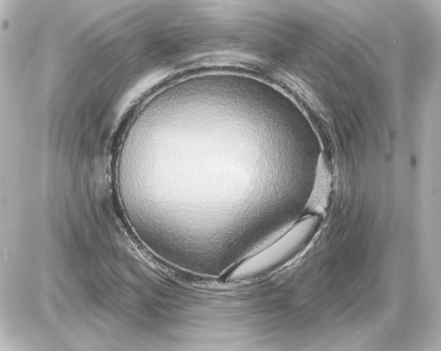 X0000087571164200705112205
