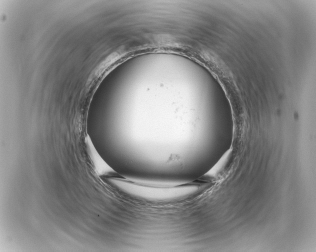 X0000087571169200705112205